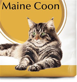 Royal Canin MAINE COON - 10kg 9