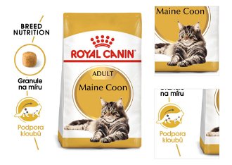 Royal Canin MAINE COON - 10kg 3
