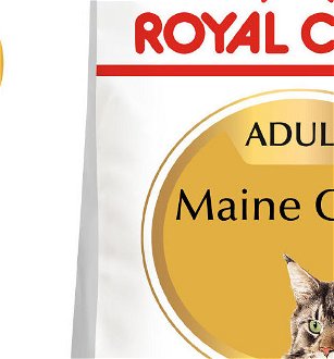 Royal Canin MAINE COON - 10kg 5