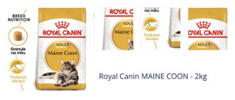 Royal Canin MAINE COON - 2kg 1