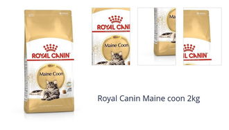 Royal Canin Maine coon 2kg 1