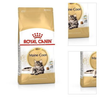 Royal Canin Maine coon 2kg 3