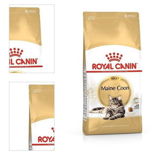 Royal Canin Maine coon 2kg 4