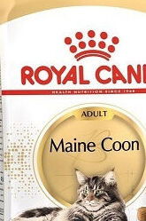 Royal Canin Maine coon 2kg 5