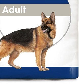 Royal Canin MAXI ADULT - 15kg 9