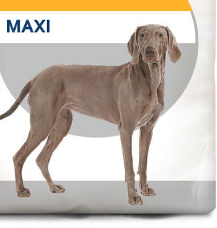 Royal Canin Maxi Dermacomfort - granule pre veľké psy s problémami s kožou - 12kg 9