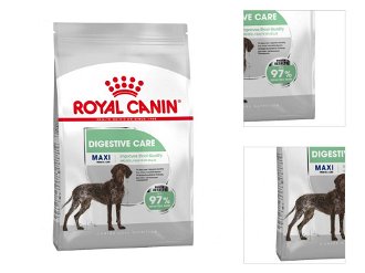 Royal Canin Maxi Digestive care 3 kg 3