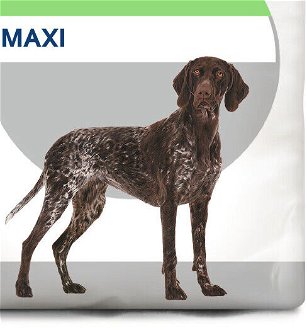 Royal Canin MAXI DIGESTIVE care - 3kg 9