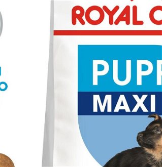 Royal Canin MAXI PUPPY - 15kg 5