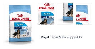 Royal Canin Maxi Puppy 4 kg 1