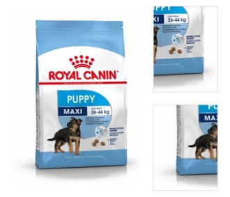 Royal Canin Maxi Puppy 4 kg 3