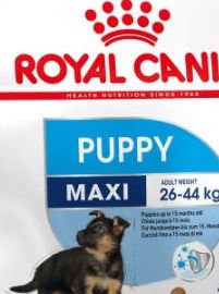 Royal Canin Maxi Puppy 4 kg 5