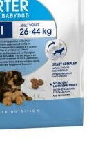 Royal Canin Maxi Starter 15 kg 9