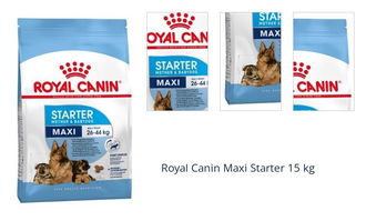 Royal Canin Maxi Starter 15 kg 1