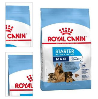 Royal Canin Maxi Starter 15 kg 4