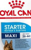 Royal Canin Maxi Starter 15 kg 5