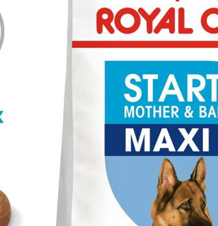 Royal Canin MAXI STARTER - 15kg 5