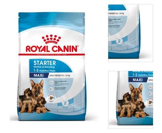 Royal Canin Maxi Starter 4 kg 3