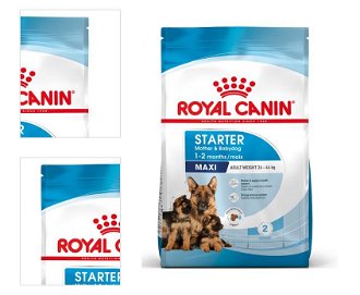 Royal Canin Maxi Starter 4 kg 4