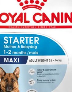 Royal Canin Maxi Starter 4 kg 5