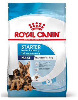 Royal Canin Maxi Starter 4 kg 2