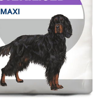 Royal Canin MAXI STERILISED - 12kg 9