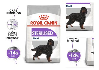 Royal Canin MAXI STERILISED - 12kg 3