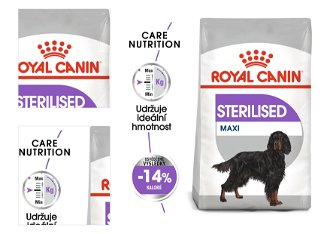 Royal Canin MAXI STERILISED - 12kg 4