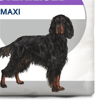 Royal Canin MAXI STERILISED - 3kg 9