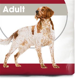 Royal Canin MEDIUM  ADULT - 15kg 9