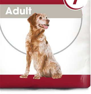 Royal Canin MEDIUM ADULT 7+ - 15kg 9