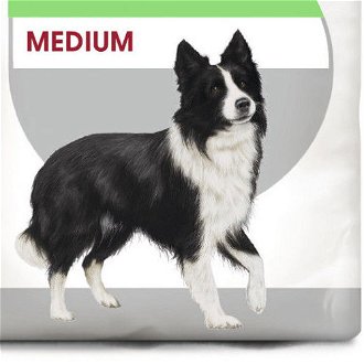 Royal Canin MEDIUM DIGESTIVE care - 12kg 9