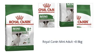 Royal Canin Mini Adult +8 8kg 1