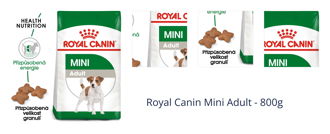 Royal Canin Mini Adult - 800g 1