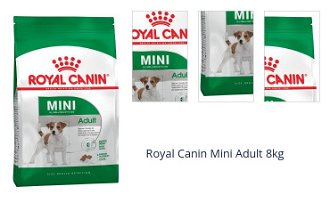Royal Canin Mini Adult 8kg 1