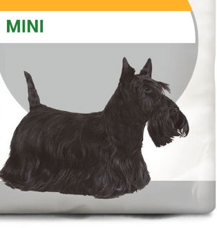 Royal Canin Mini Dermacomfort - 3kg 9