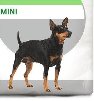 Royal Canin Mini DIGESTIVE care - 1kg 9