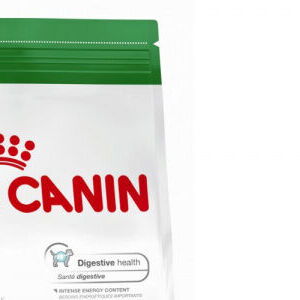 Royal Canin Mini Junior 4kg 7