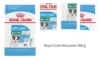 Royal Canin Mini Junior 800 g 1