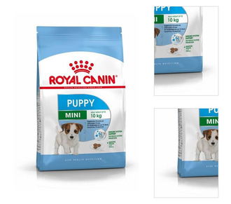 Royal Canin Mini Junior 8kg 3