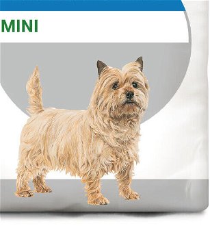 Royal Canin Mini Light - 1kg 9