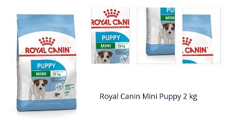 Royal Canin Mini Puppy 2 kg 1