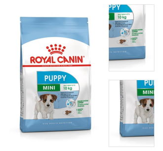 Royal Canin Mini Puppy 2 kg 3