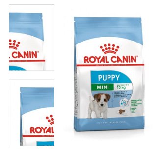 Royal Canin Mini Puppy 2 kg 4
