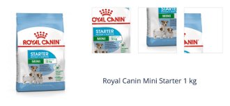 Royal Canin Mini Starter 1 kg 1
