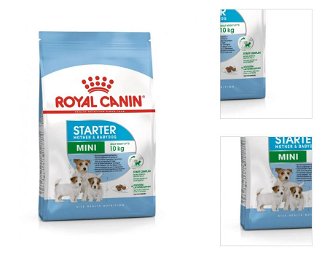 Royal Canin Mini Starter 1 kg 3
