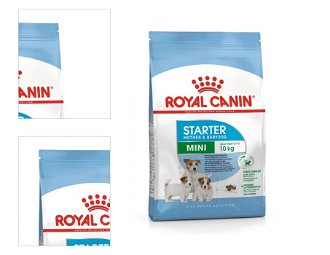 Royal Canin Mini Starter 1 kg 4