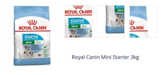 Royal Canin Mini Starter 3kg 1