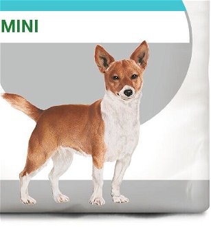 Royal Canin Mini Urinary Care - granule pro psy s ledvinovými problémy - 1kg 9