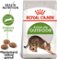 Royal Canin OUTDOOR - 10kg
